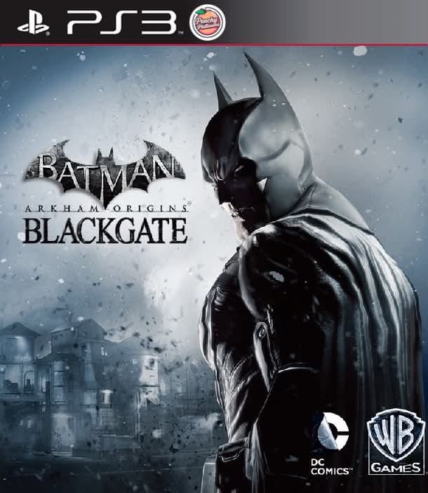 Batman: Arkham Origins Blackgate PS3 Platinum Trophy Service